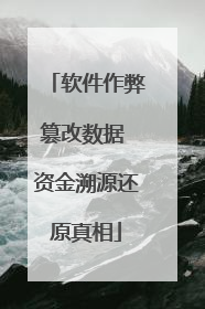 软件作弊篡改数据 资金溯源还原真相