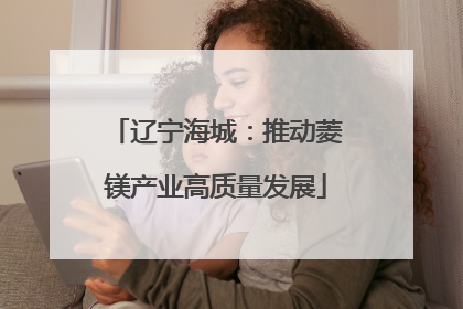 辽宁海城：推动菱镁产业高质量发展