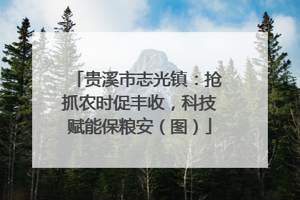 贵溪市志光镇：抢抓农时促丰收，科技赋能保粮安（图）