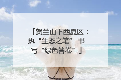 贺兰山下西夏区：执“生态之笔” 书写“绿色答卷”