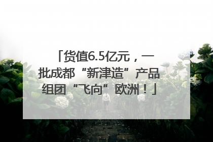 货值6.5亿元，一批成都“新津造”产品组团“飞向”欧洲！