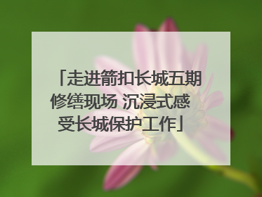 走进箭扣长城五期修缮现场 沉浸式感受长城保护工作