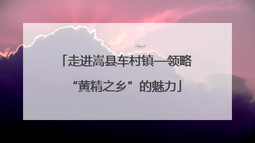 走进嵩县车村镇—领略“黄精之乡”的魅力