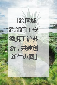 跨区域 跨部门！安徽携手沪苏浙，共建创新生态圈