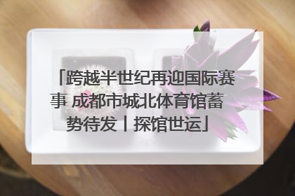 跨越半世纪再迎国际赛事 成都市城北体育馆蓄势待发丨探馆世运