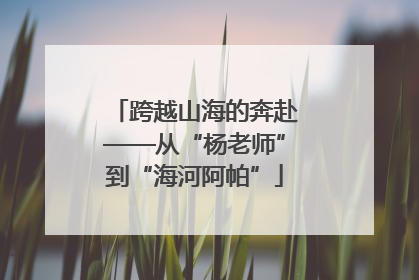 跨越山海的奔赴——从“杨老师”到“海河阿帕”
