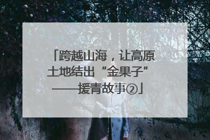 跨越山海，让高原土地结出“金果子”——援青故事②