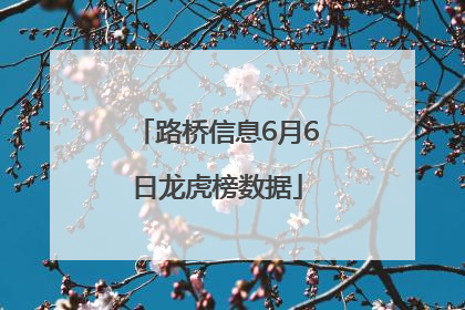 路桥信息6月6日龙虎榜数据