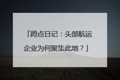 蹲点日记：头部航运企业为何聚集此地？