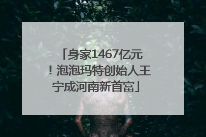 身家1467亿元！泡泡玛特创始人王宁成河南新首富