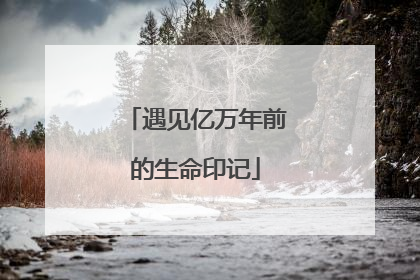 遇见亿万年前的生命印记