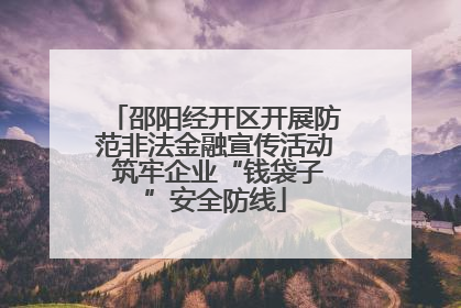 邵阳经开区开展防范非法金融宣传活动 筑牢企业“钱袋子”安全防线
