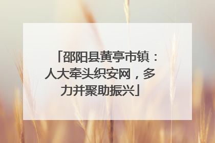 邵阳县黄亭市镇：人大牵头织安网，多力并聚助振兴