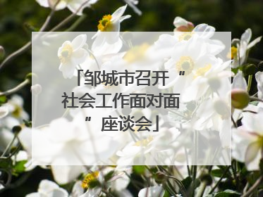 邹城市召开“社会工作面对面”座谈会