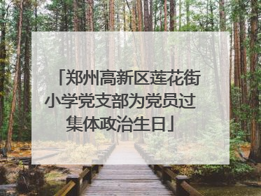 郑州高新区莲花街小学党支部为党员过集体政治生日