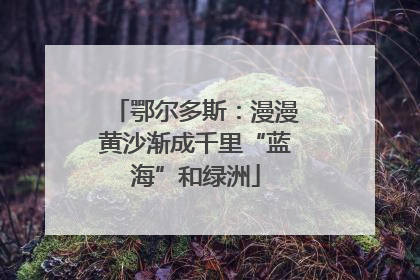 鄂尔多斯：漫漫黄沙渐成千里“蓝海”和绿洲
