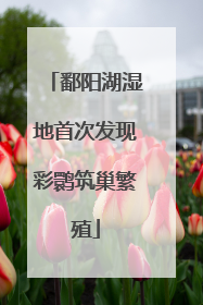 鄱阳湖湿地首次发现彩鹮筑巢繁殖