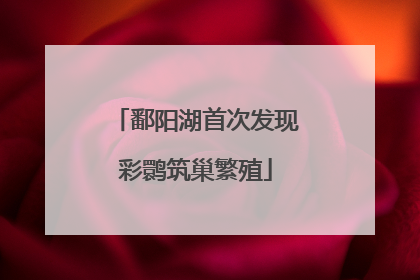 鄱阳湖首次发现彩鹮筑巢繁殖