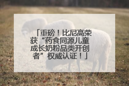 重磅！比尼高荣获“药食同源儿童成长奶粉品类开创者”权威认证！