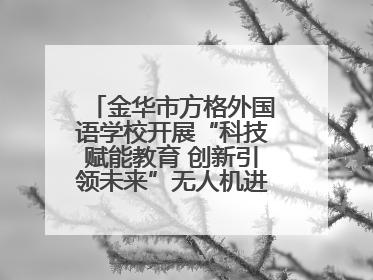 金华市方格外国语学校开展“科技赋能教育 创新引领未来”无人机进校园主题活动