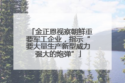 金正恩视察朝鲜重要军工企业，指示“要大量生产新型威力强大的炮弹”