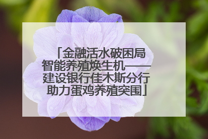 金融活水破困局 智能养殖焕生机——建设银行佳木斯分行助力蛋鸡养殖突围
