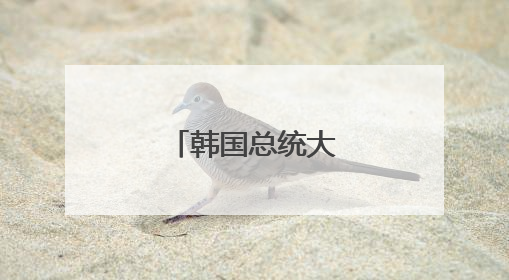 韩国总统大选即将举行