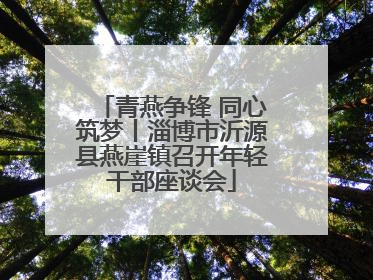 青燕争锋 同心筑梦丨淄博市沂源县燕崖镇召开年轻干部座谈会