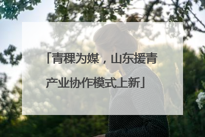 青稞为媒，山东援青产业协作模式上新