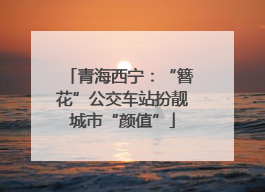 青海西宁：“簪花”公交车站扮靓城市“颜值”