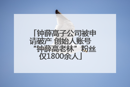 钟薛高子公司被申请破产 创始人账号“钟薛高老林”粉丝仅1800余人