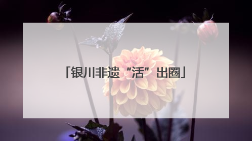 银川非遗“活”出圈