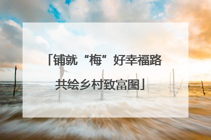 铺就“梅”好幸福路 共绘乡村致富图