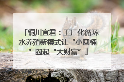 铜川宜君：工厂化循环水养殖新模式让“小圆桶”圈起“大财富”