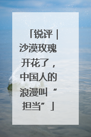 锐评｜沙漠玫瑰开花了，中国人的浪漫叫“担当”