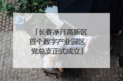 长春净月高新区首个数字产业园区党总支正式成立