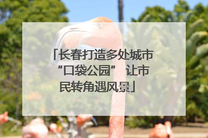 长春打造多处城市“口袋公园” 让市民转角遇风景