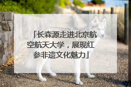 长森源走进北京航空航天大学，展现红参非遗文化魅力