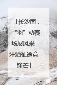 长沙南：“羽”动赛场展风采 汗洒征途竞锋芒