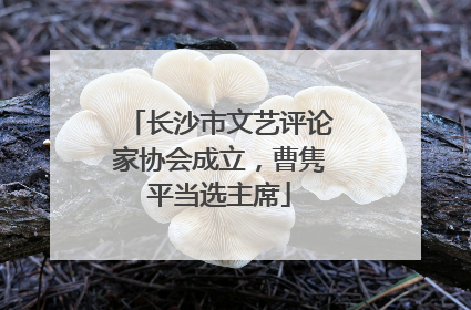 长沙市文艺评论家协会成立，曹隽平当选主席