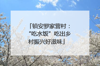 镇安罗家营村：“吃水饭”吃出乡村振兴好滋味