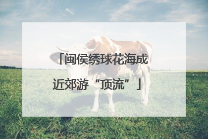 闽侯绣球花海成近郊游“顶流”