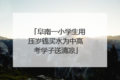 阜南一小学生用压岁钱买水为中高考学子送清凉
