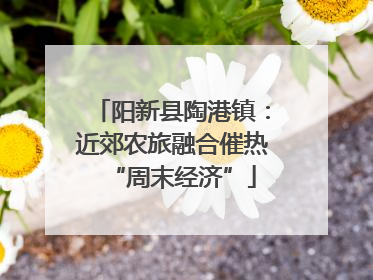 阳新县陶港镇：近郊农旅融合催热“周末经济”