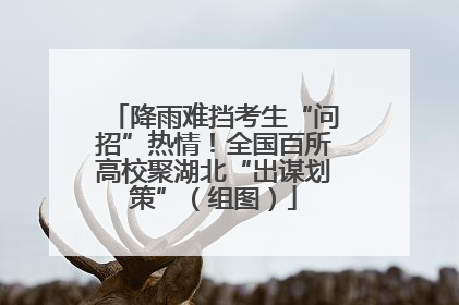 降雨难挡考生“问招”热情！全国百所高校聚湖北“出谋划策”（组图）