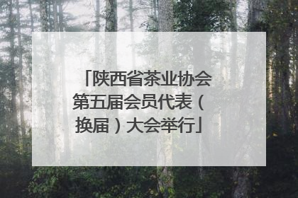 陕西省茶业协会第五届会员代表（换届）大会举行