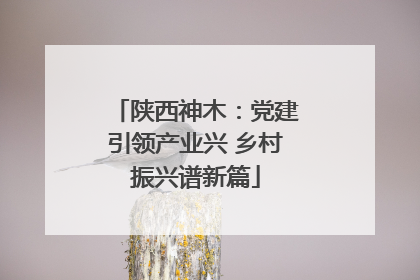 陕西神木：党建引领产业兴 乡村振兴谱新篇