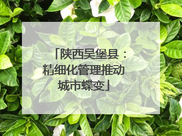 陕西吴堡县：精细化管理推动城市蝶变