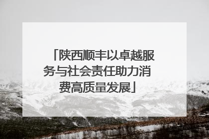陕西顺丰以卓越服务与社会责任助力消费高质量发展