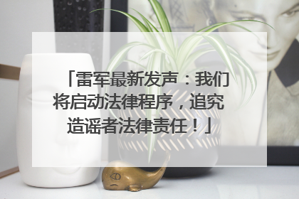 雷军最新发声：我们将启动法律程序，追究造谣者法律责任！